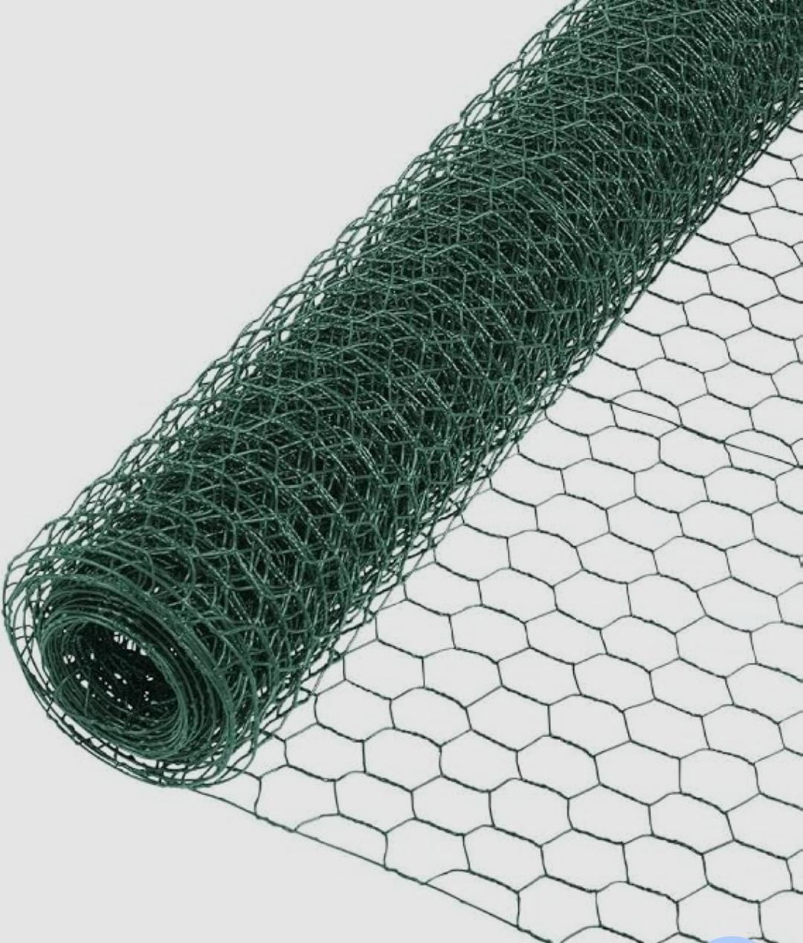 Chicken wire view 2