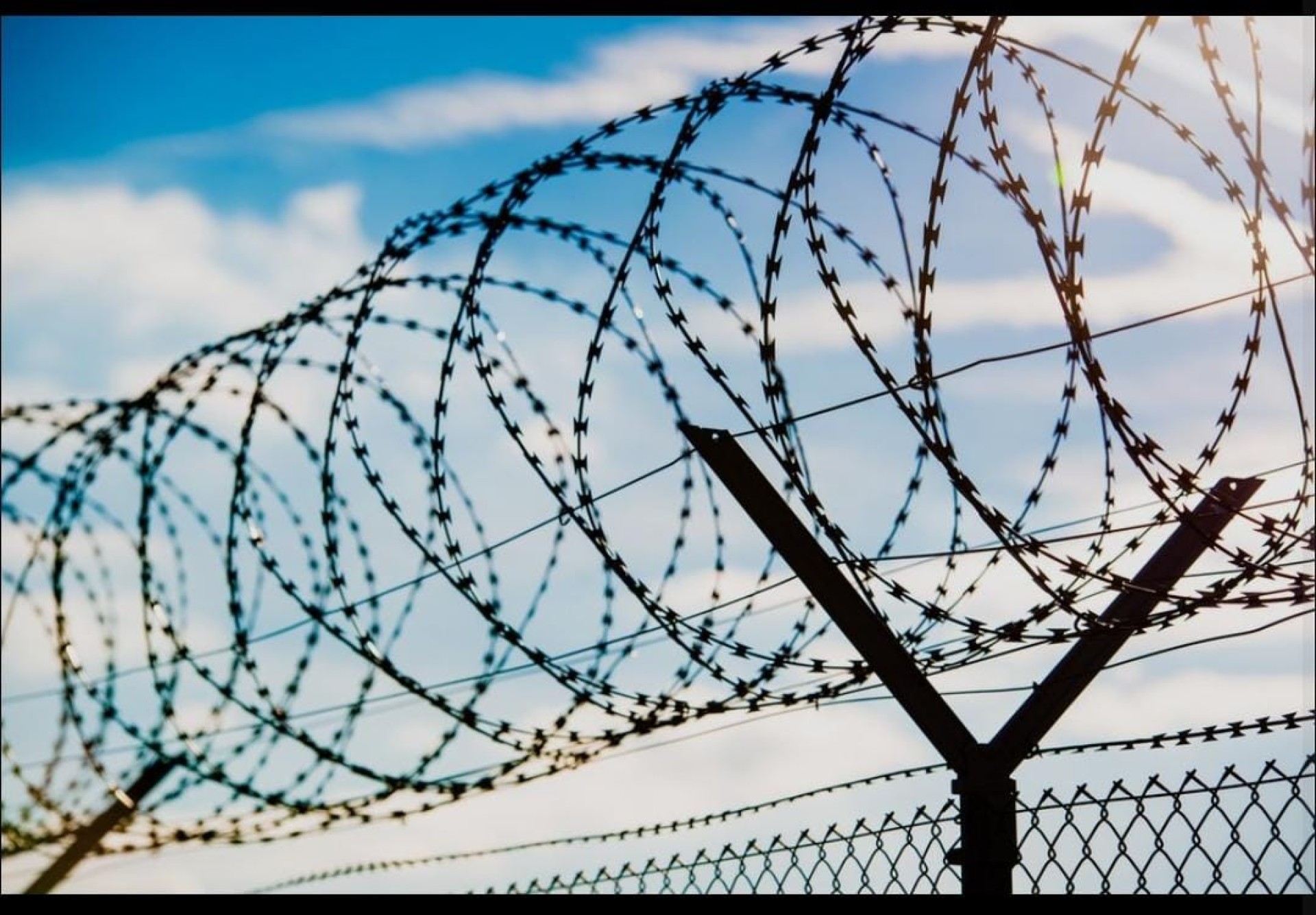 Razor wire view 2